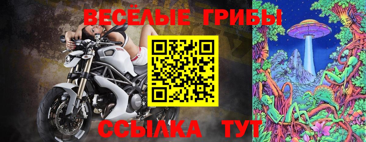 Галлюциногенные грибы Psilocybe  Галлюциногенные грибы прущие грибы  Надым  Вход с VPN 