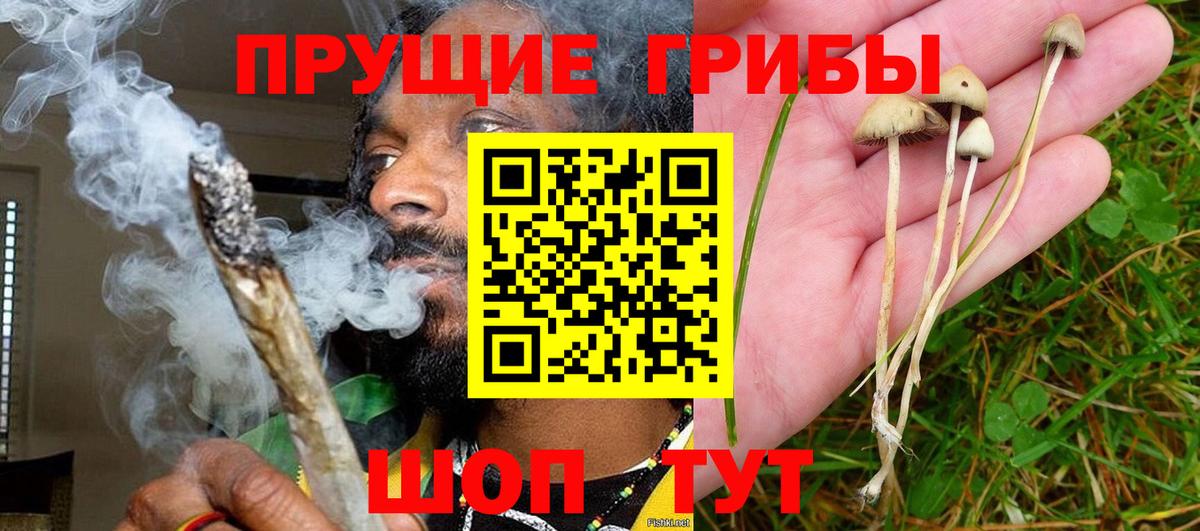 Псилоцибиновые грибы прущие грибы Надым